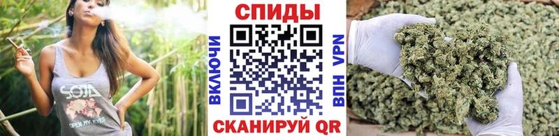 Бутират буратино  omg как войти  Валдай 
