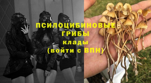 альфа пвп Алексеевка