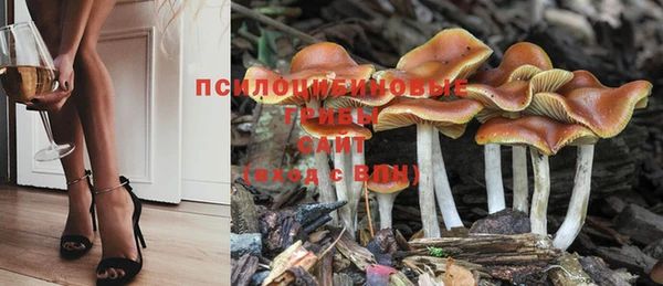 герыч Алзамай